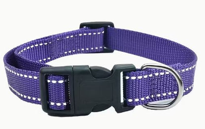SafariGlow Reflective Pet Collar