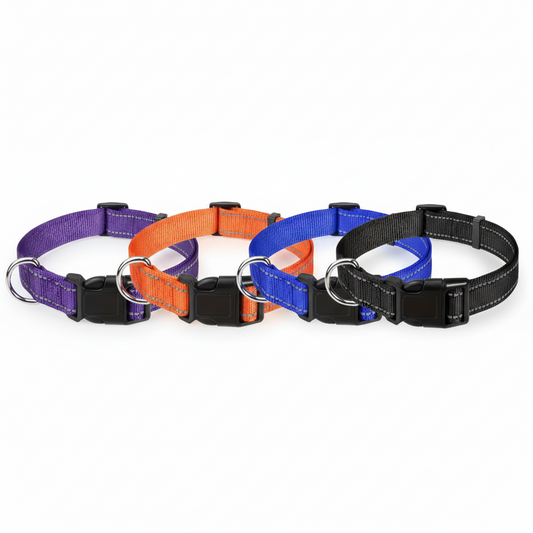 SafariGlow Reflective Pet Collar