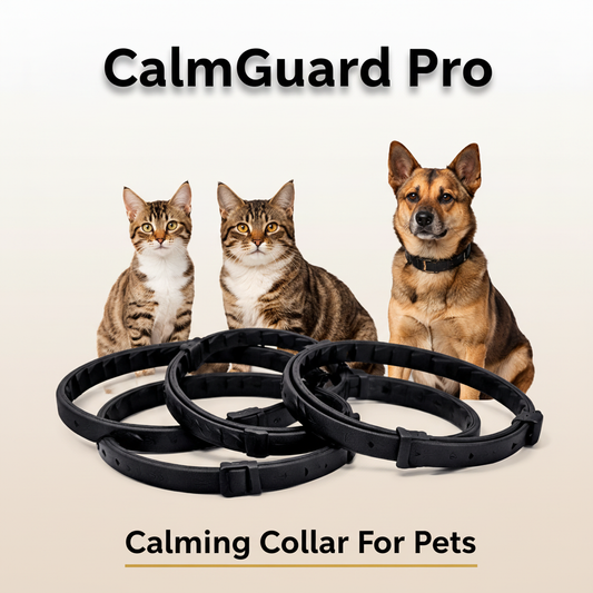 CalmGuard Pro – Bold Pop-Out Version